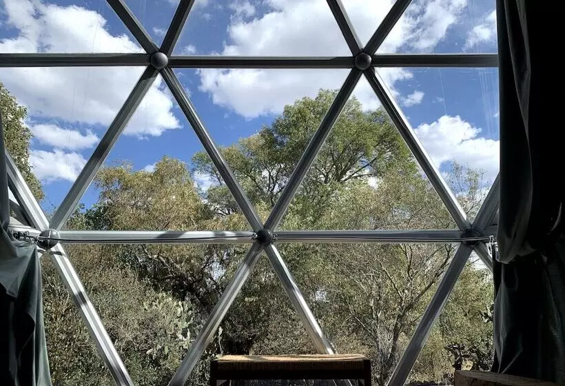 ホテル Raices Glamping