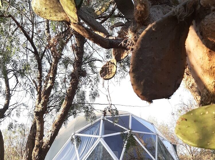 호텔 Raices Glamping