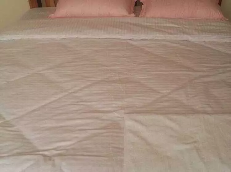 پانسیون Downhill Springs Resort