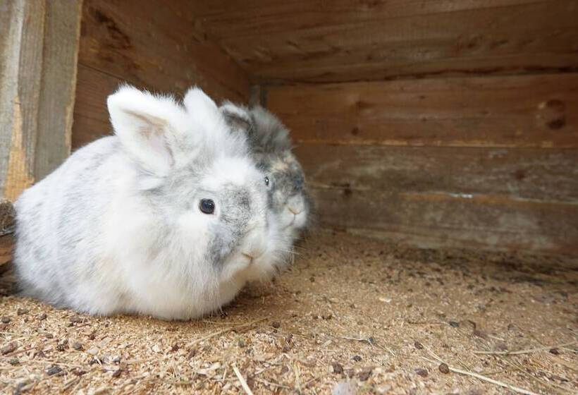 Pensione Feriengut Zum Fürst´n