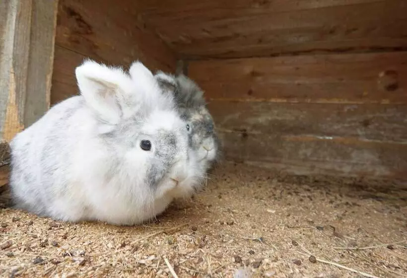 Majatalo Feriengut Zum Fürst´n