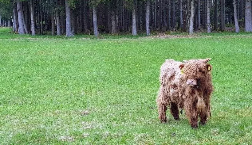 Majatalo Feriengut Zum Fürst´n