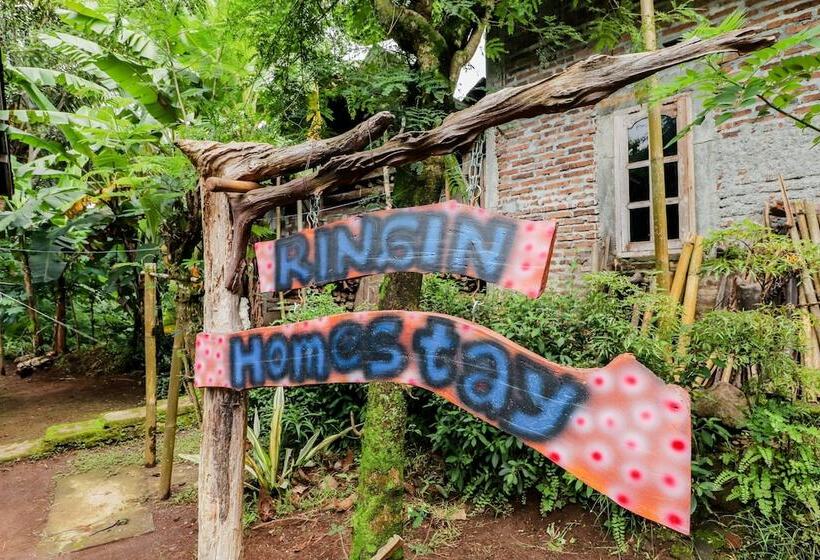 膳宿费 Ringin Guesthouse