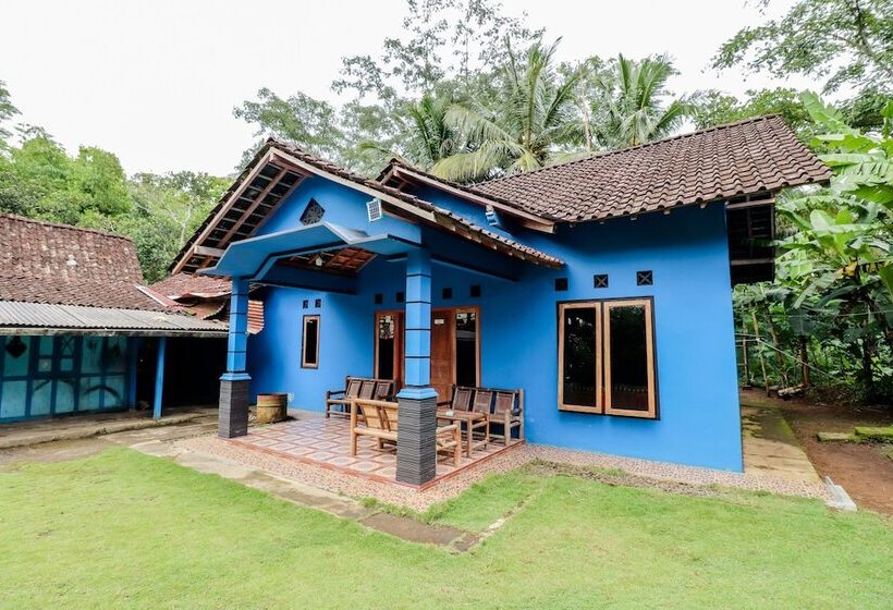 膳宿费 Ringin Guesthouse