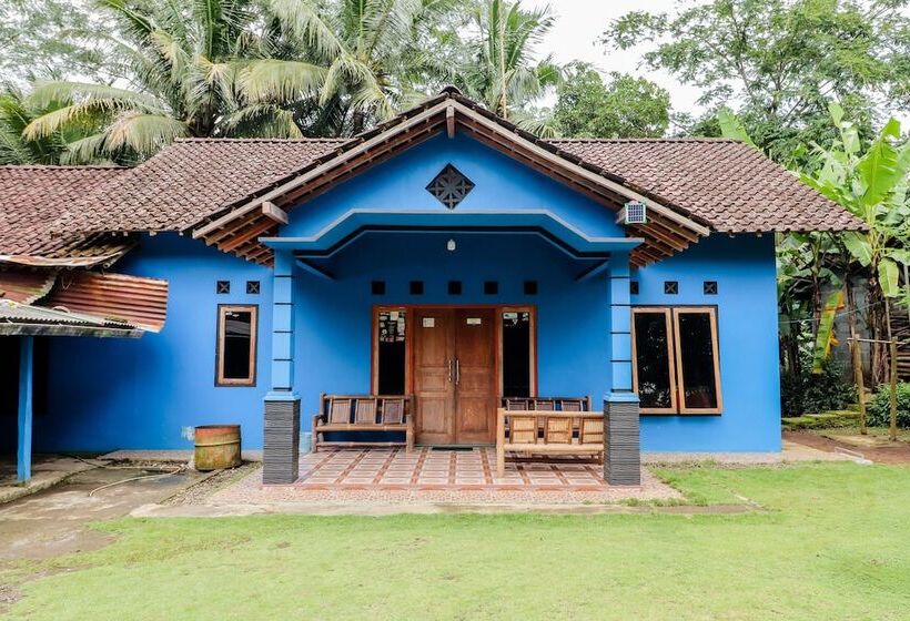 膳宿费 Ringin Guesthouse