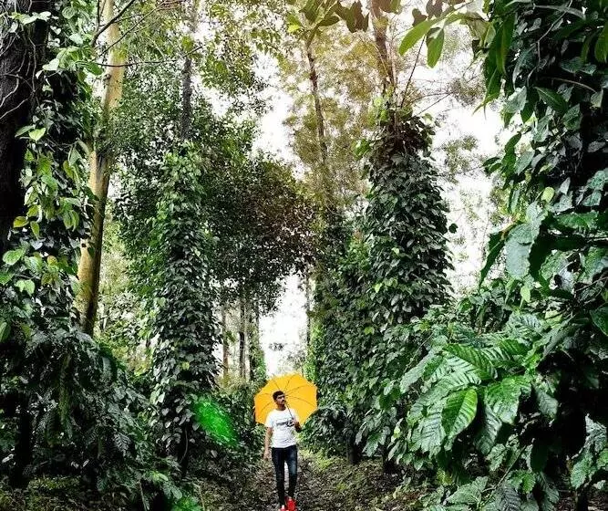 ペンション Unlock By Goldfinch Sakaleshpur