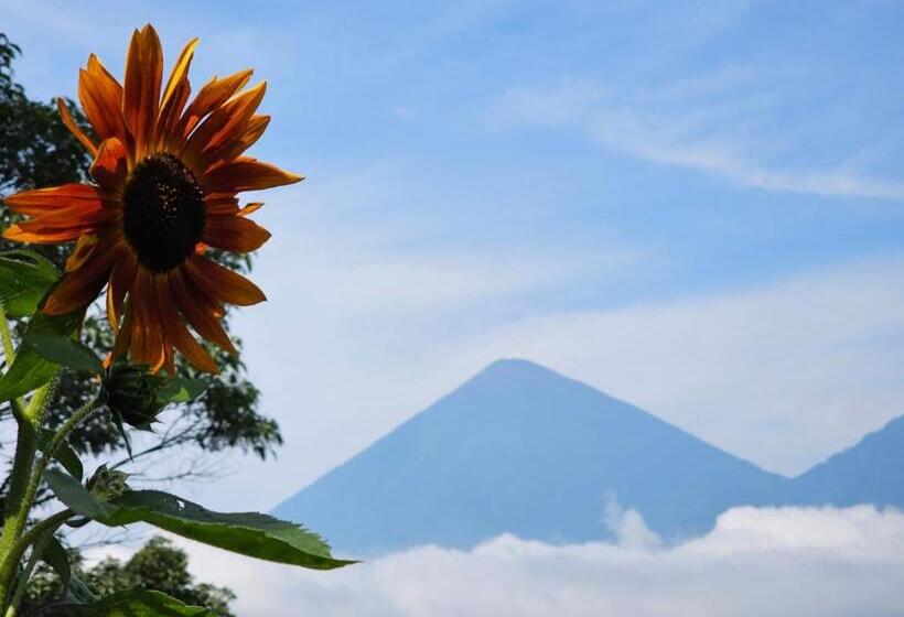 Rancho Fortaleza Hotel & Spa