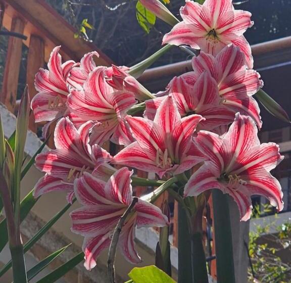 Rancho Fortaleza Hotel & Spa