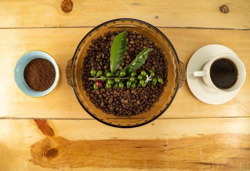 Rancho Fortaleza Hotel & Spa