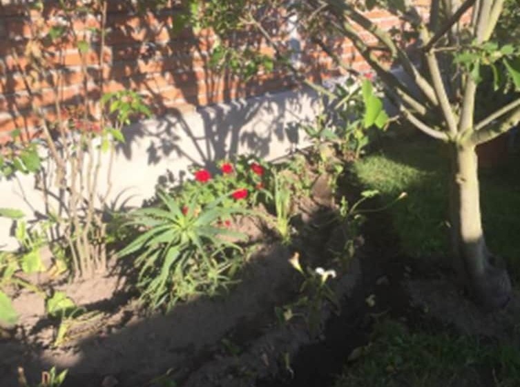 Tababela Airport B&b