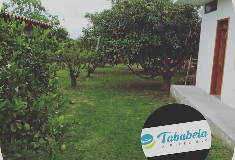 Tababela Airport B&b