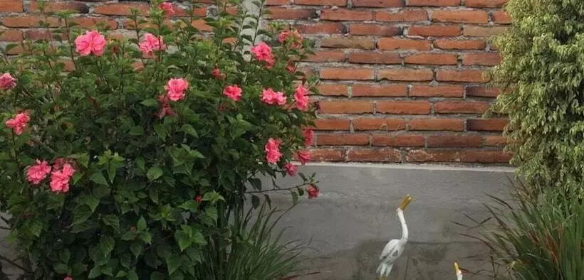 Tababela Airport B&b