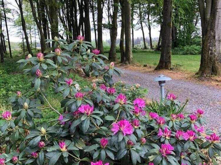 Bed and Breakfast Agerfeld Gl. Skole