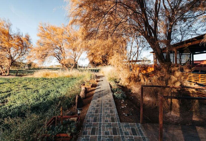 Peumayen Atacama / Hostal & Cabaña