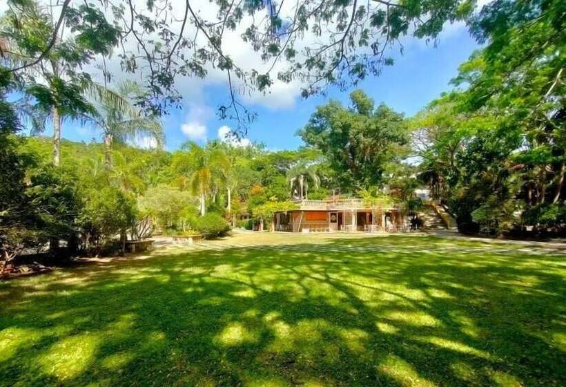 Hotel Momarco Forest Cove Resort And