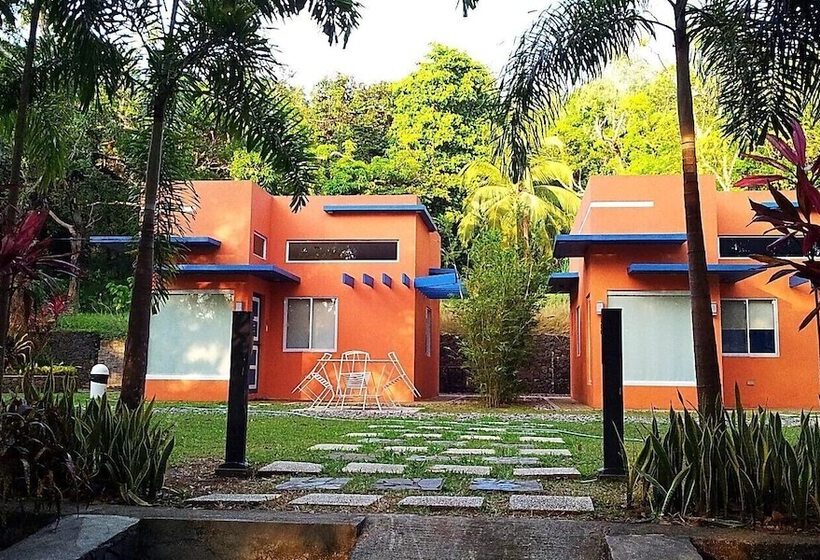 Hotel Momarco Forest Cove Resort And