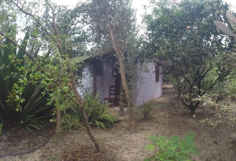 בית מלון כפרי Pousada Casa Na Roça