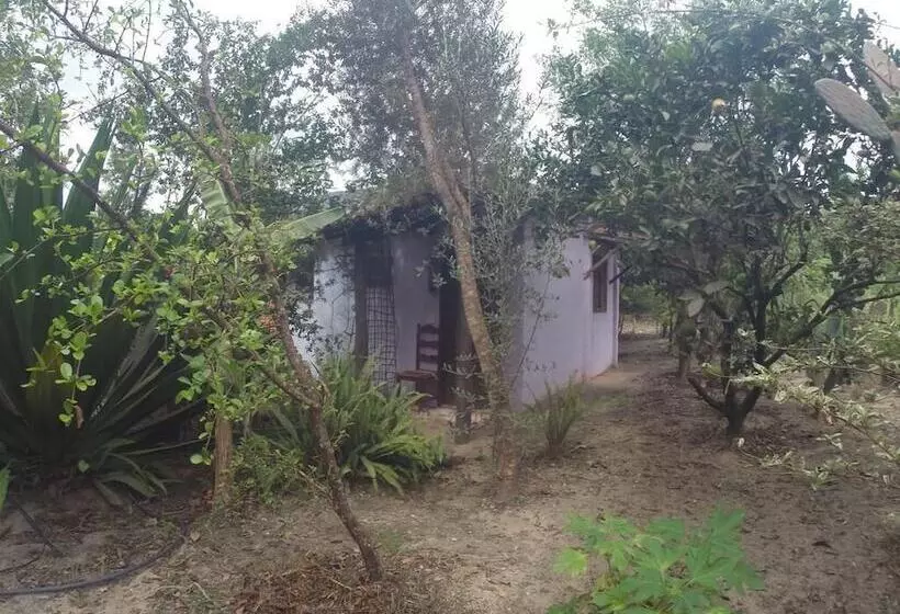 Hotelli Pousada Casa Na Roça