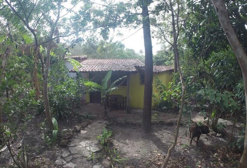 בית מלון כפרי Pousada Casa Na Roça