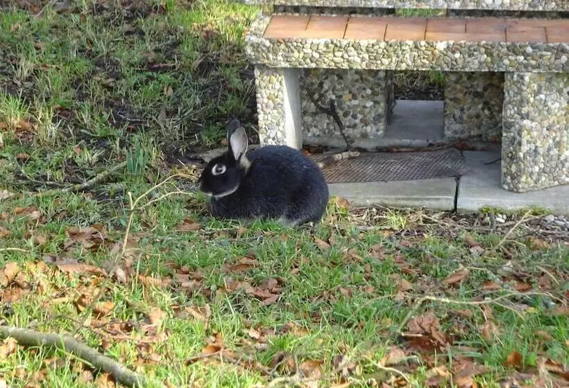 田舎風ホテル Rehalp