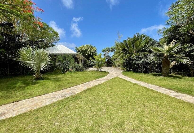 هتل The Paradise Peak Adults Only