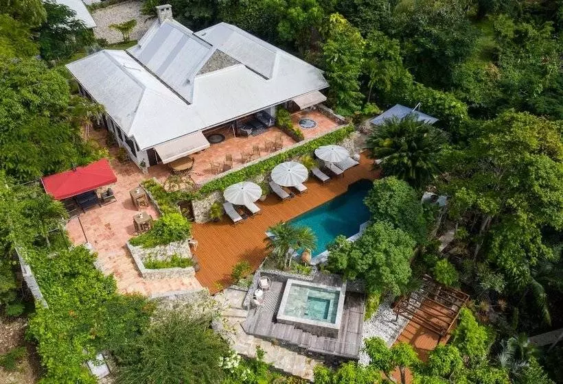 هتل The Paradise Peak   Adults Only