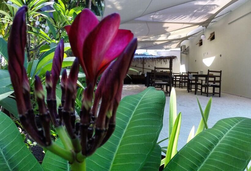 پانسیون Arivilla Mathiveri