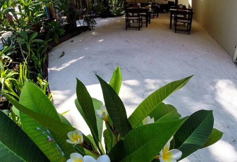 پانسیون Arivilla Mathiveri