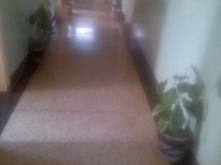 پانسیون Club Mamis