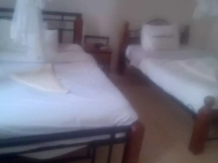 پانسیون Club Mamis