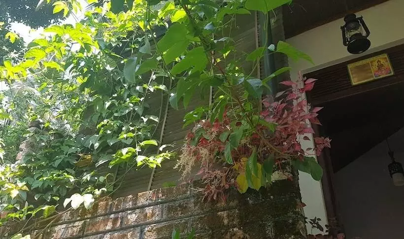 Majatalo Knuckles View Bungalow