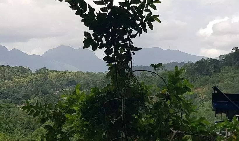 Majatalo Knuckles View Bungalow