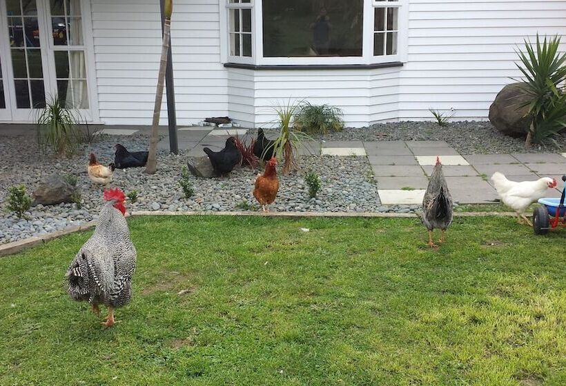 פנסיון Koromatua Homestead