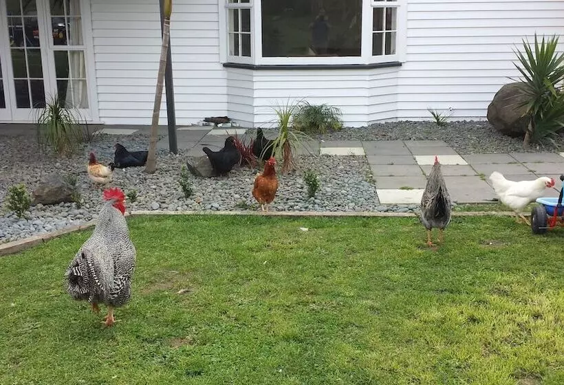 ペンション Koromatua Homestead