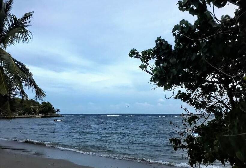 پانسیون Max Retreats