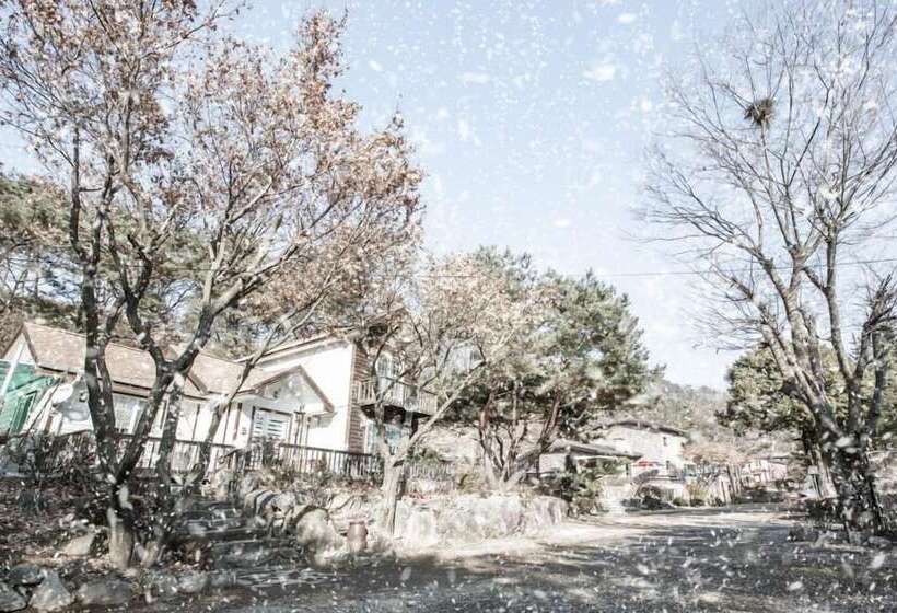 Пансион Morning Palace