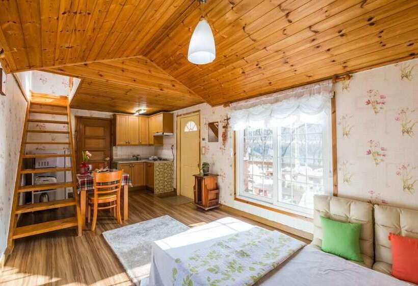 Пансион Morning Palace