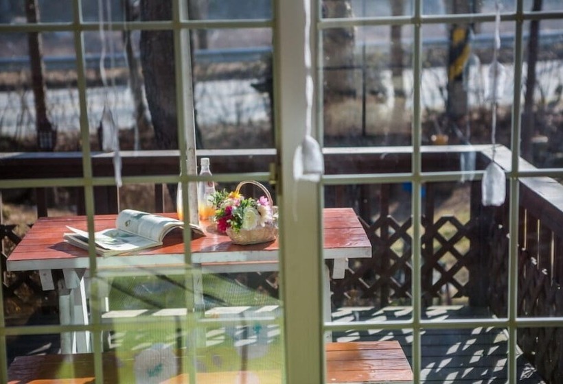 Пансион Morning Palace