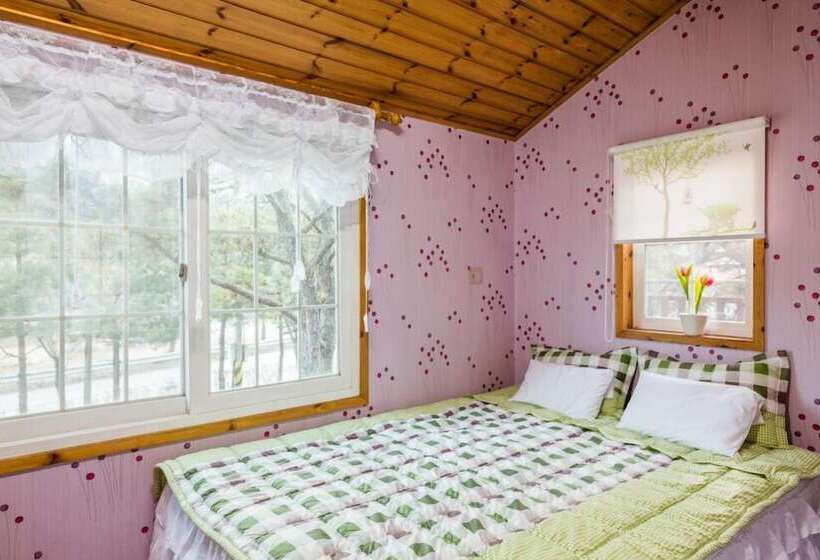 Пансион Morning Palace