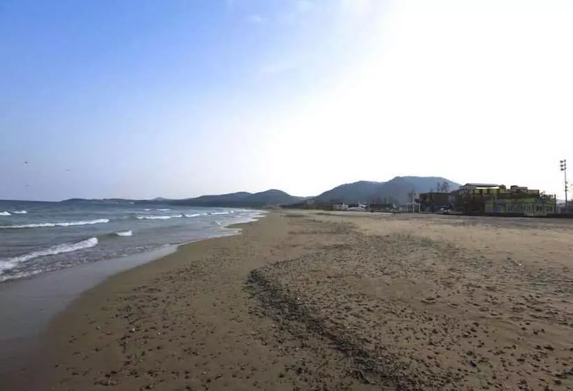 ペンション Pohang Sunrise