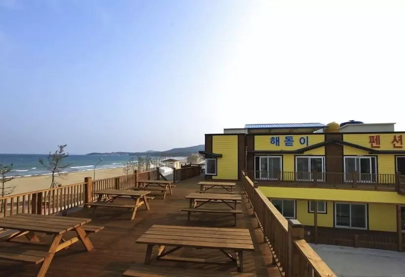 ペンション Pohang Sunrise
