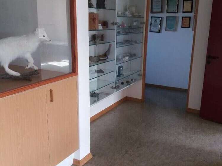 پانسیون Thistle Guesthouse