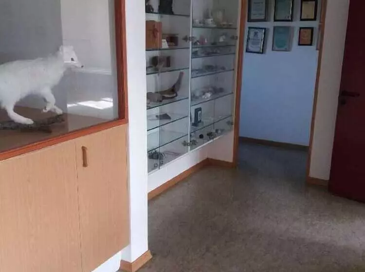 پانسیون Thistle Guesthouse