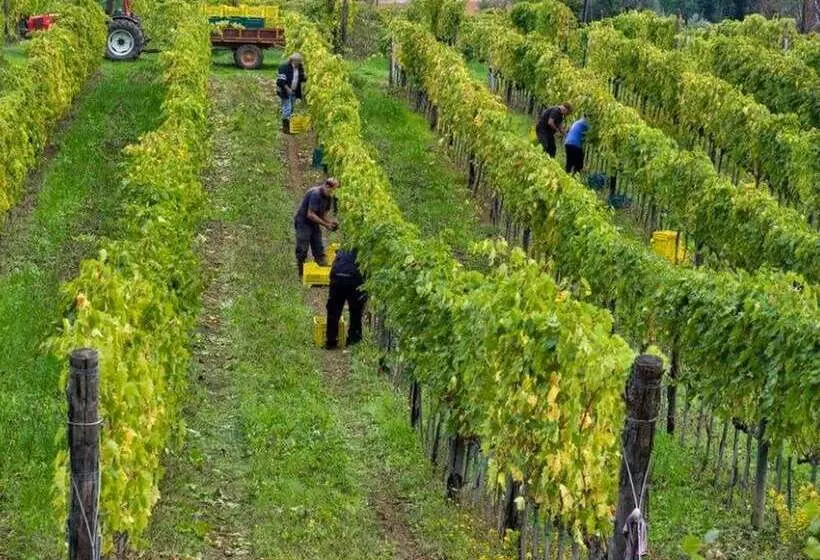 Pretty Farmhouse In Bacchereto With Swimming Pool