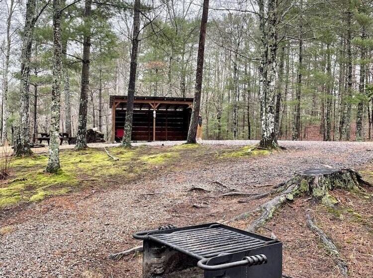 Private And Perfect! Hot Tub, King Bed, Fireplace Dog And Motorcycle Friendly Studio Cabin By Re
