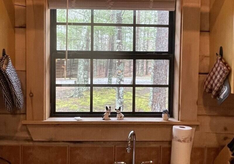 Private And Perfect! Hot Tub, King Bed, Fireplace Dog And Motorcycle Friendly Studio Cabin By Re