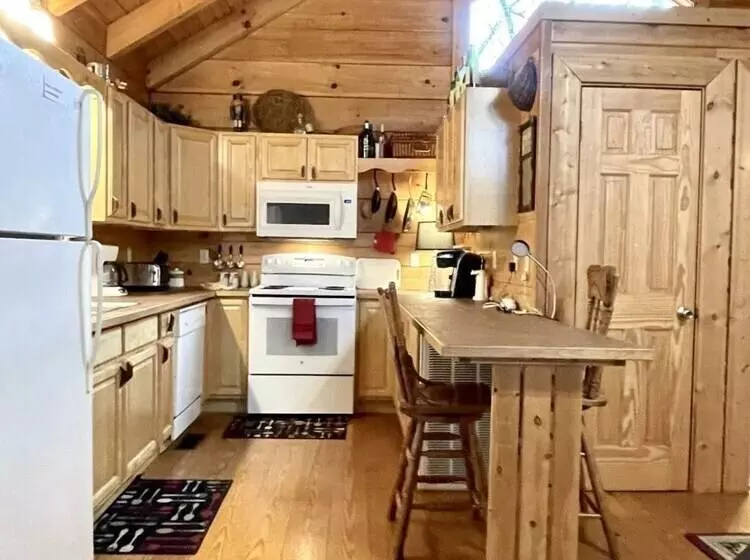Romantic, Pet Friendly Cabin With Private Hot Tub, Washer/dryer And Full Kitchen Studio Cabin By Red