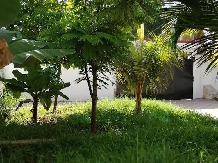 Salhiya Lodge   Hostel