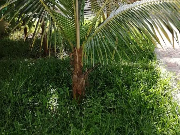 Salhiya Lodge   Hostel