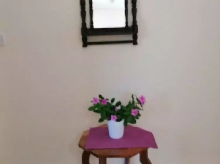 Salhiya Lodge   Hostel